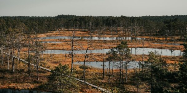 Reiseopplevelser: Utforsk Estlands Skjulte Skatter og Kultur