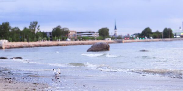 Oppdag Reisemålene i Estland: En Uforglemmelig Reiseopplevelse