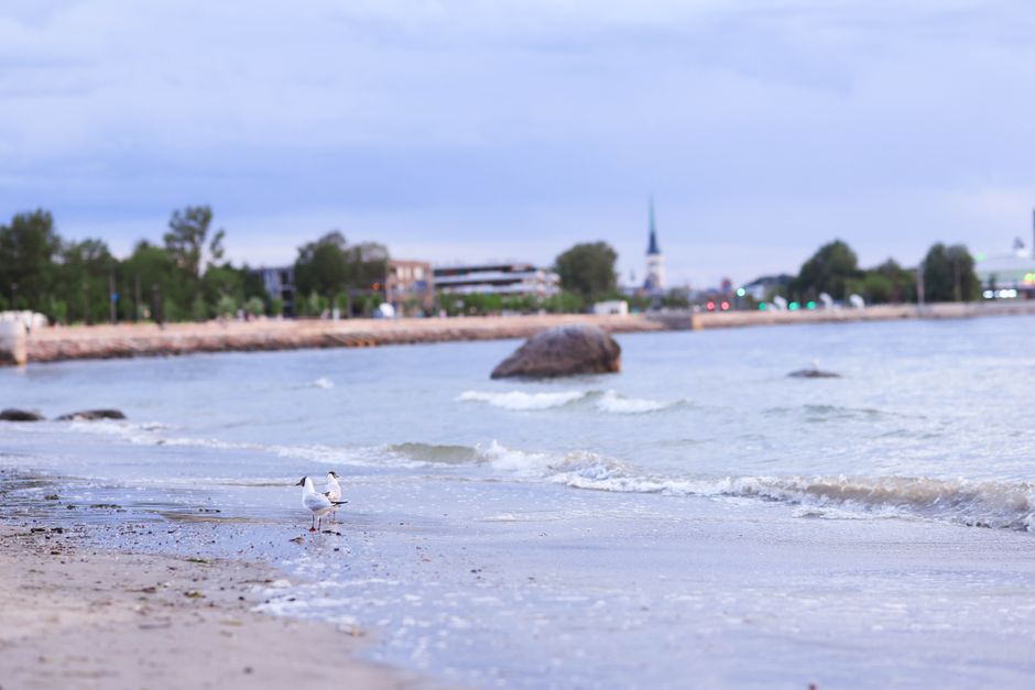 Oppdag Reisemålene i Estland: En Uforglemmelig Reiseopplevelse