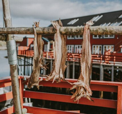 Tradisjonelle Retter i Norge: En Kulinarisk Reise Gjennom Kulturarven