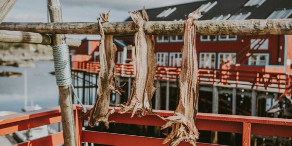 Tradisjonelle Retter i Norge: En Kulinarisk Reise Gjennom Kulturarven